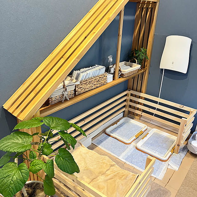 yumimaruさんの部屋