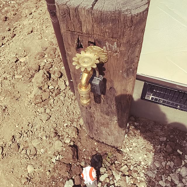 Maikoさんの実例写真