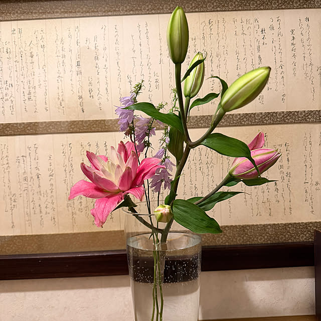 mamizaさんの部屋