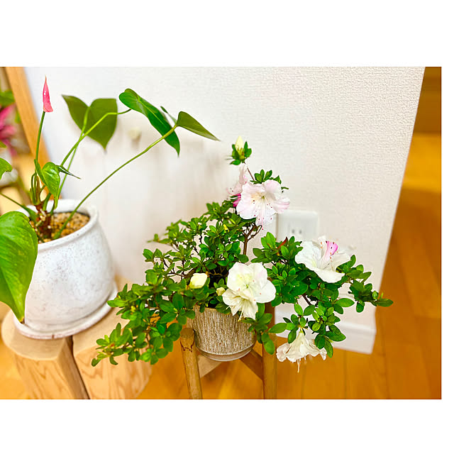 saahannさんの実例写真