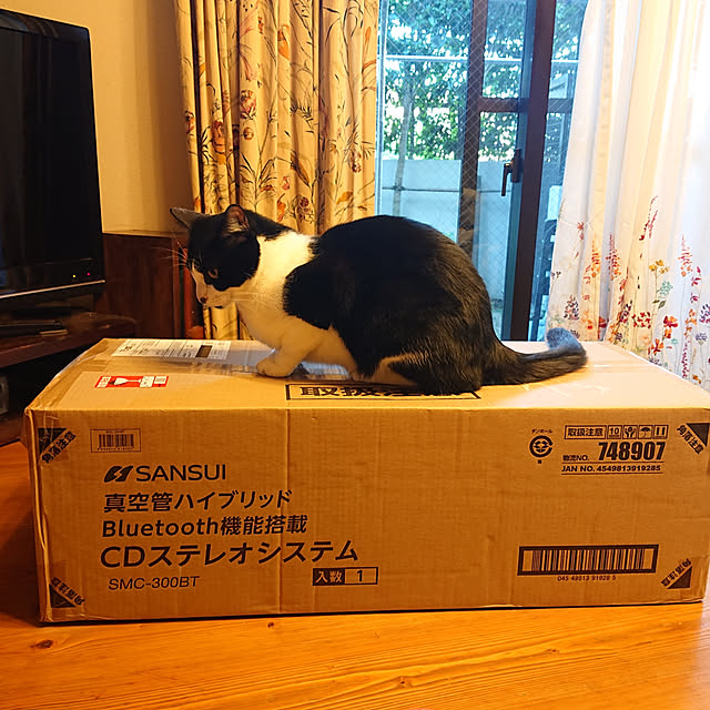 okyosan101さんの実例写真