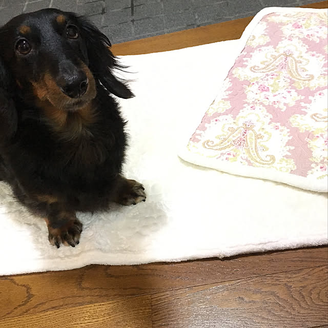 anpanさんの実例写真