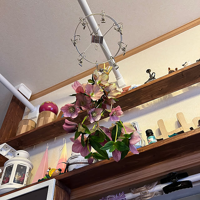 chi_gogaさんの部屋