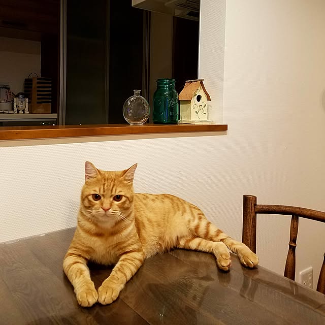 C.Tさんの実例写真