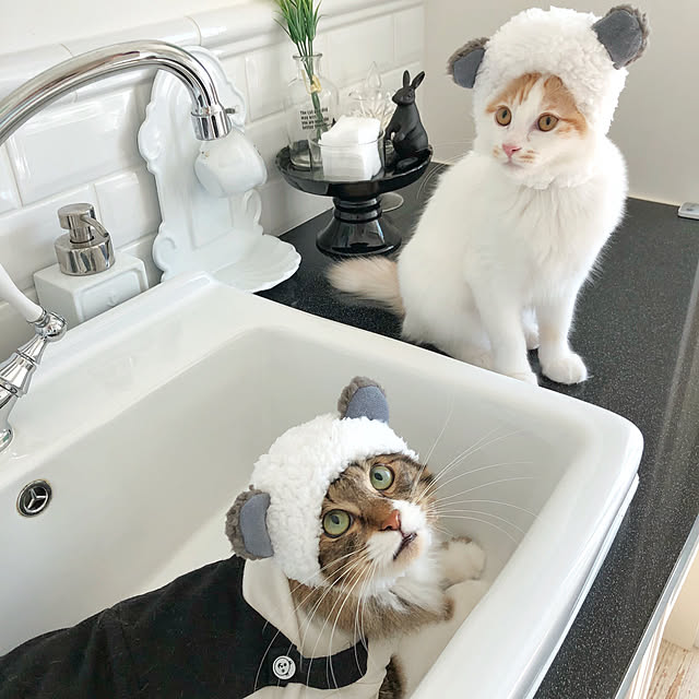 yuchiさんの実例写真