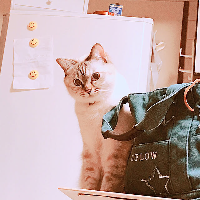 nachuさんの実例写真