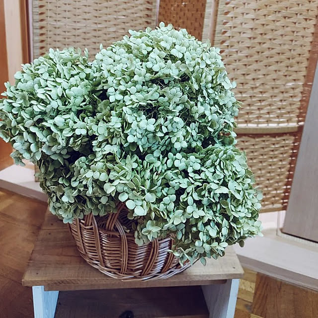 misaさんの実例写真