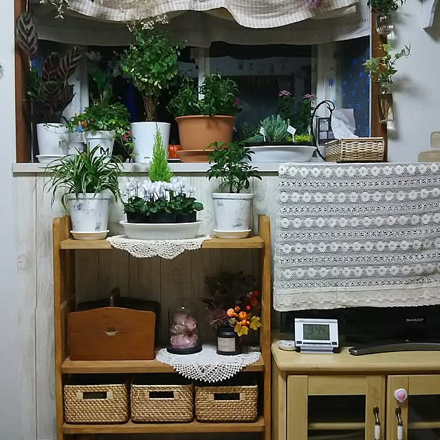 naopyiさんの実例写真