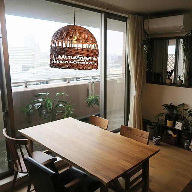 グリーン/観葉植物/リノベーション/ナチュラルインテリア/木のぬくもり...などのインテリア実例 - 2021-09-04 12:35:49