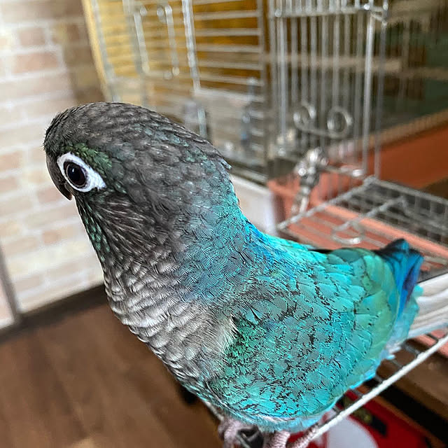 mさんの実例写真