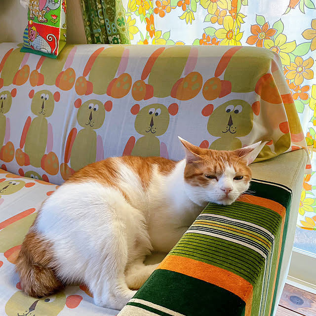 meさんの部屋