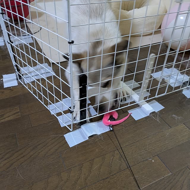 asaさんの部屋