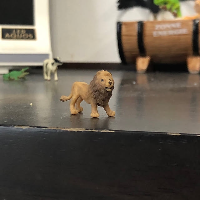 aki87koさんの実例写真