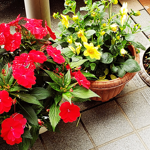 tamakoさんの実例写真