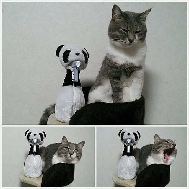 lovepandaさんの実例写真