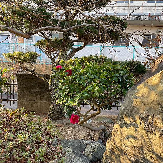 shin0719さんの部屋