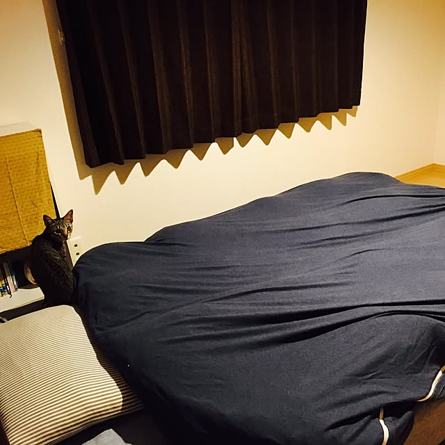 hn.71.00さんの実例写真