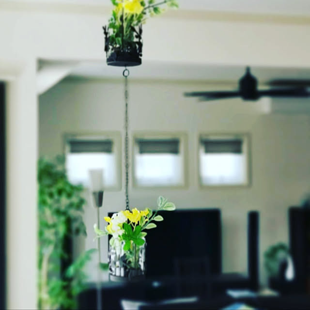 観葉植物/キッチンのインテリア実例 - 2020-05-21 21:33:00