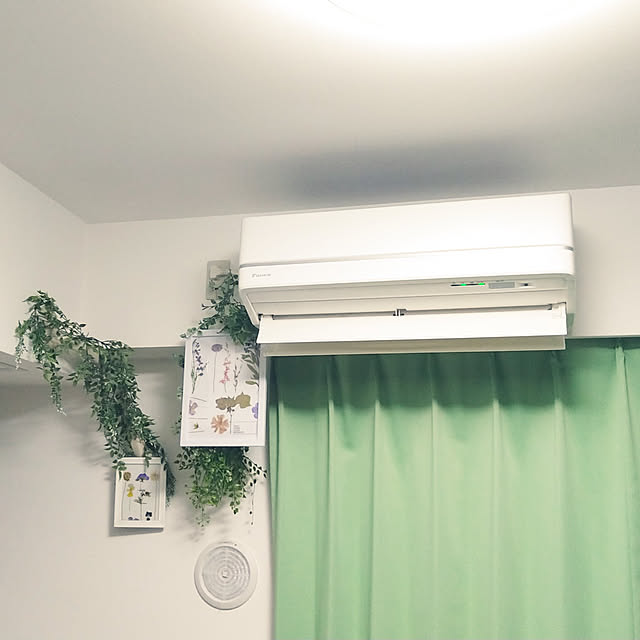 harapekoさんの実例写真