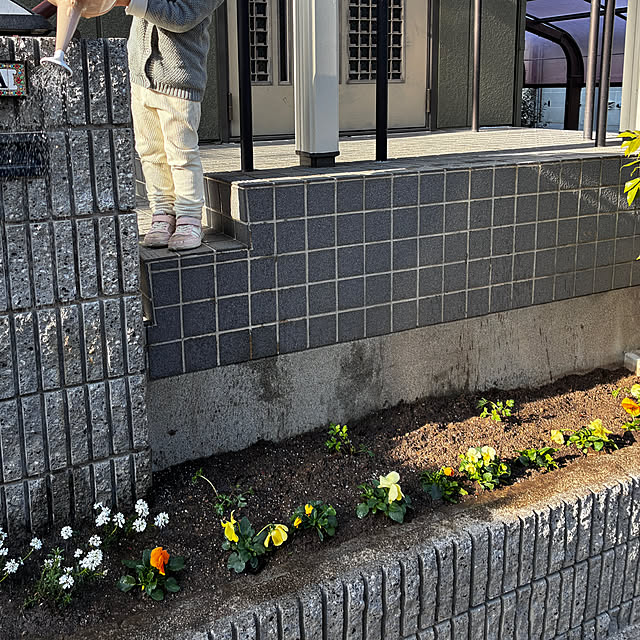 maruricoさんの部屋