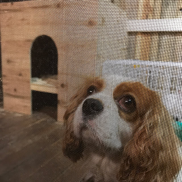 pepeさんの実例写真