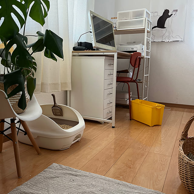 Amiさんの部屋