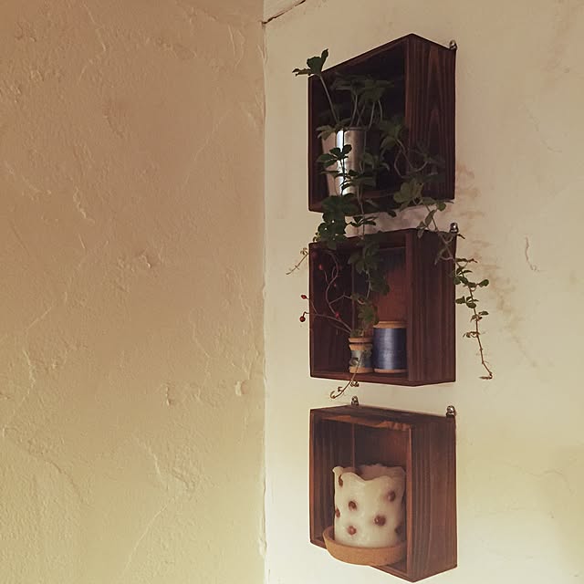 棚/セリア/観葉植物/IKEA/雑貨のインテリア実例 - 2016-04-12 22:51:59
