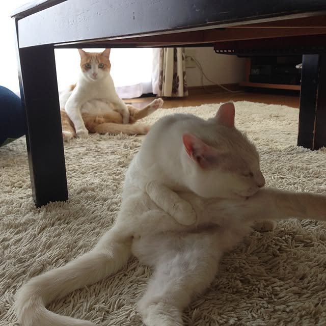 Kinanさんの実例写真