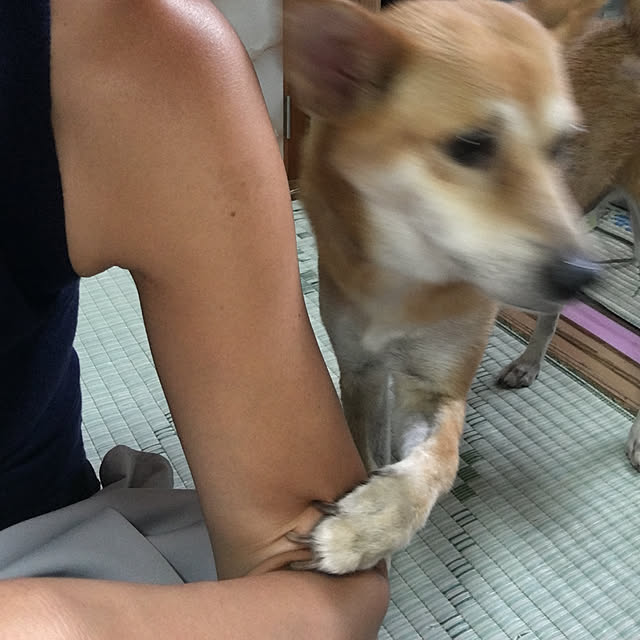 luckyさんの実例写真
