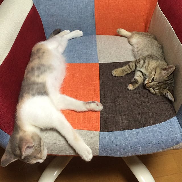 Akikoさんの実例写真
