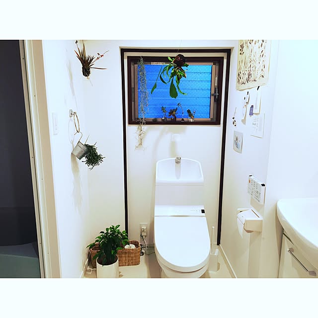 umaimesikuitaiさんの実例写真