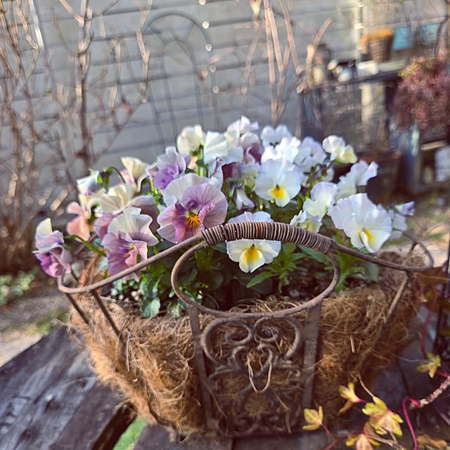 min_nimさんの実例写真