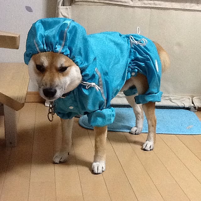 kotaさんの実例写真