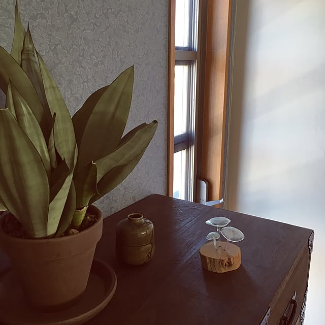 pepeさんの実例写真