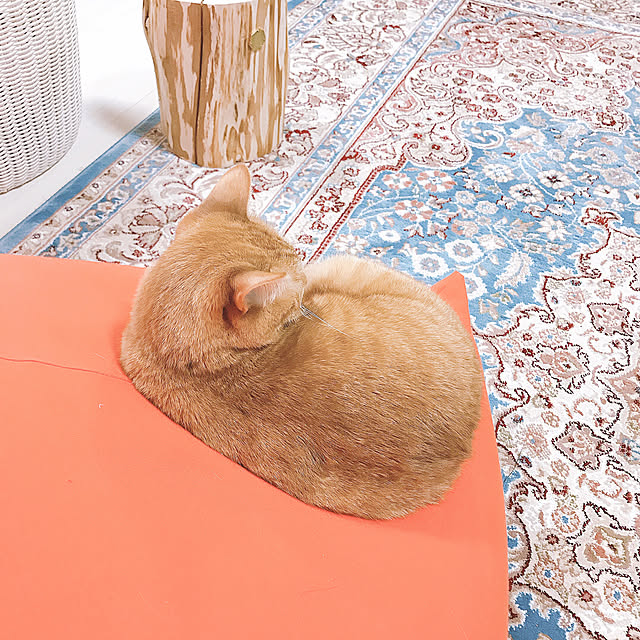 mikarunrunさんの実例写真
