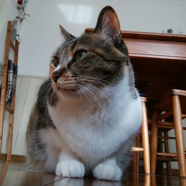 tomo1220さんの実例写真