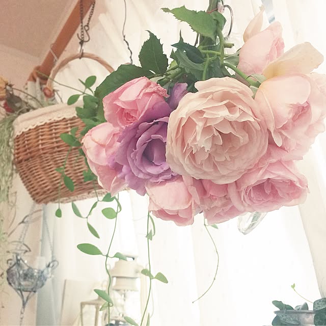 naturalcolorさんの実例写真
