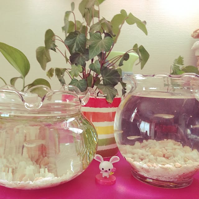 Erikaさんの実例写真