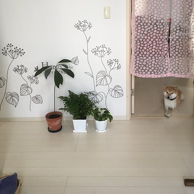 mizutamaさんの実例写真
