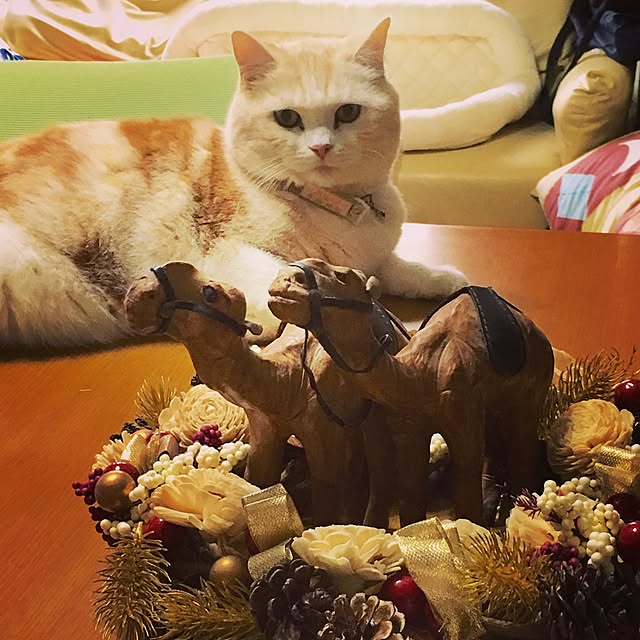 Watanabejunpilさんの実例写真