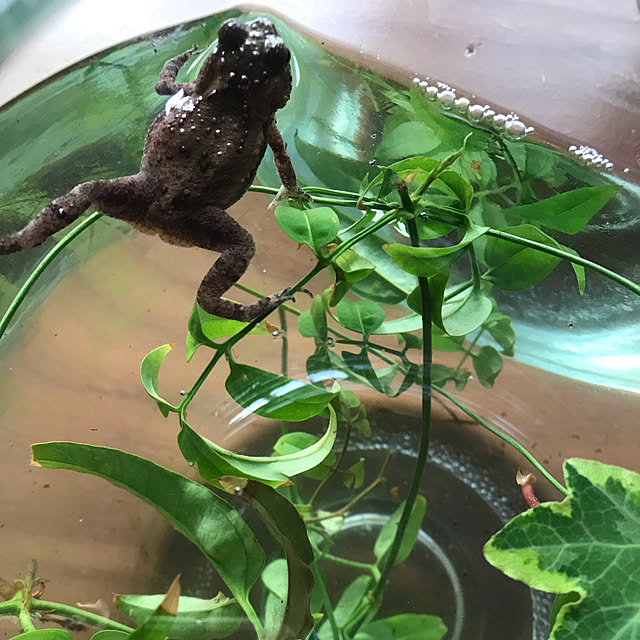 fuyiqian1026さんの実例写真