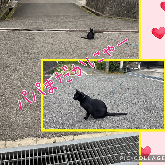 jijiさんの部屋