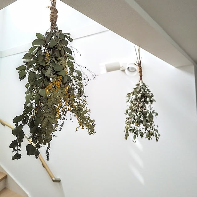 壁/天井/2階建て/新築一戸建て/吹き抜けのある家/長方形の家...などのインテリア実例 - 2022-05-04 15:09:32