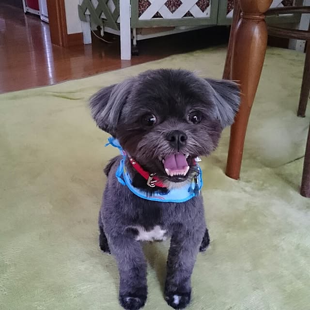 asaさんの実例写真