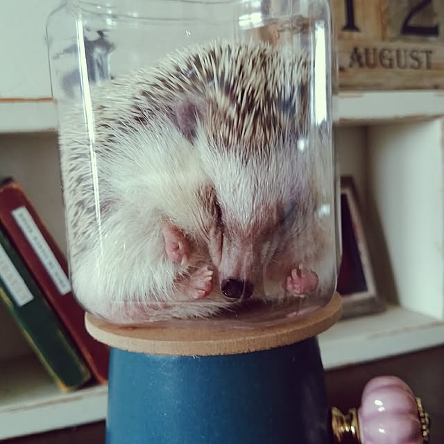 kuruさんの実例写真