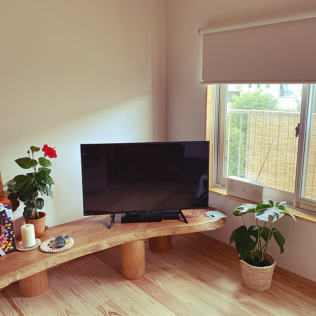 一枚板テレビボードのおすすめ商品とおしゃれな実例 | RoomClip 一枚板テレビボードのおすすめ商品とおしゃれな実例 | RoomClip