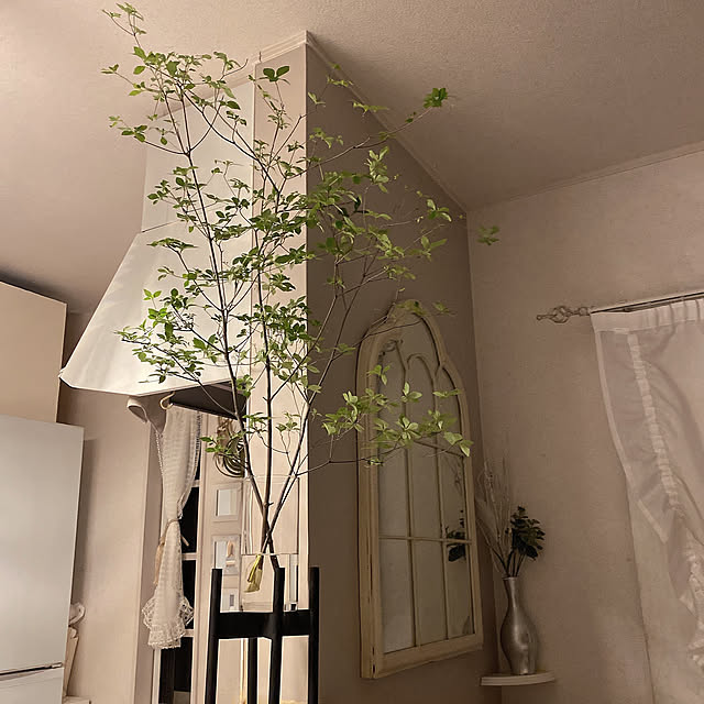 mii_home_39さんの実例写真