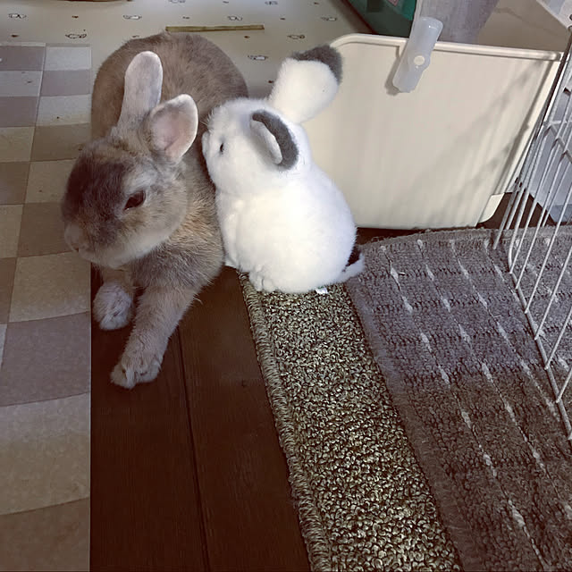 acoさんの実例写真