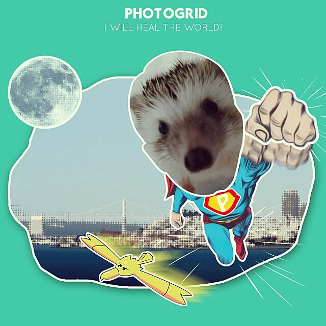 kuruさんの実例写真