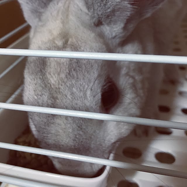 sayasさんの実例写真